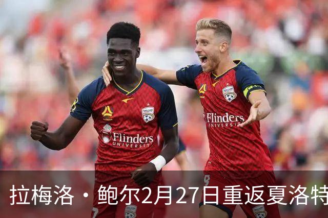 拉梅洛·鲍尔2月27日重返夏洛特，黄蜂对阵森林狼仅此一次