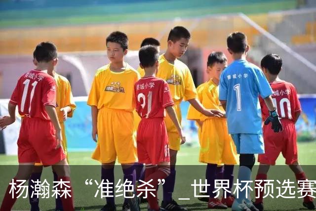 杨瀚森“准绝杀” 世界杯预选赛中国男篮险胜黎巴嫩