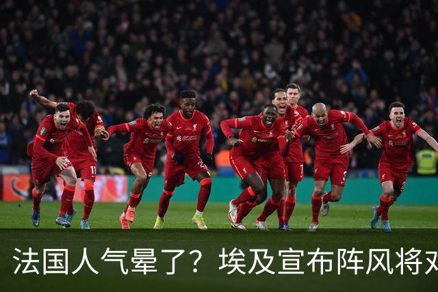 法国人气晕了？埃及宣布阵风将对阵歼-16，只为买上百架歼-10CE？